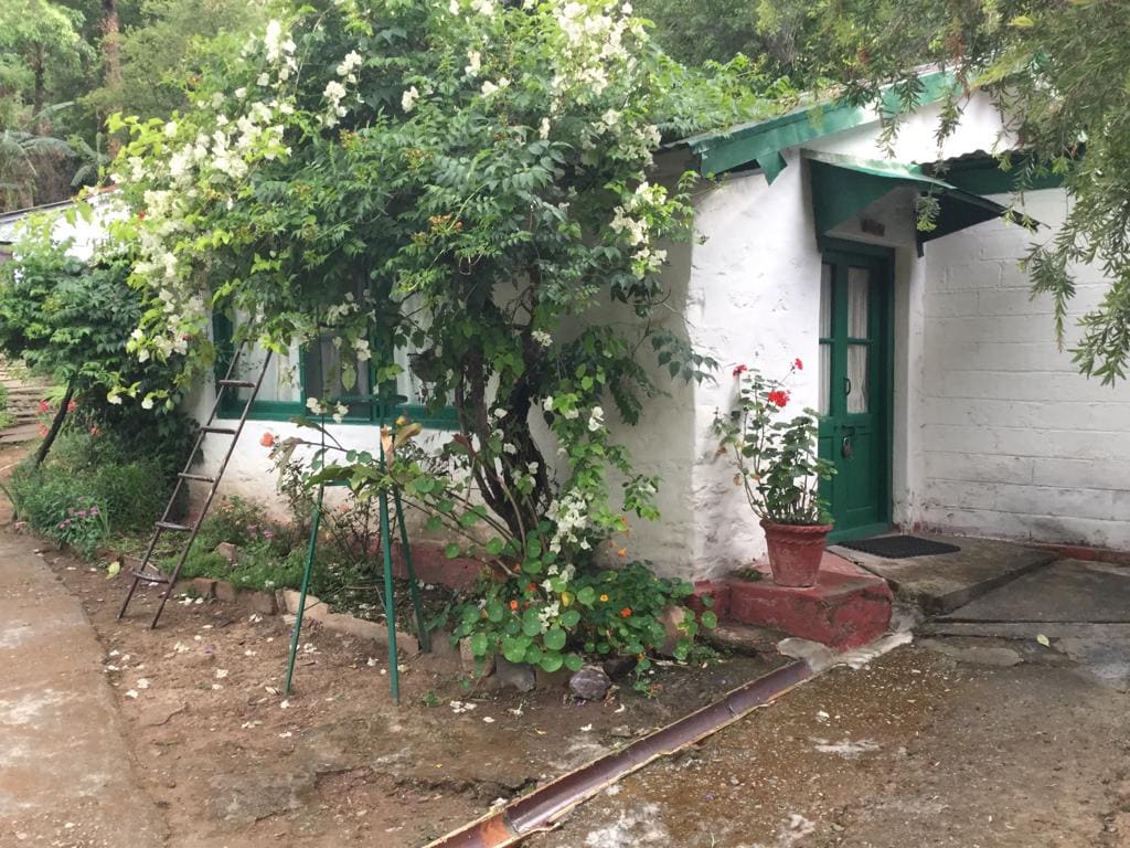 Sundays Forever Wildflower Cottage 1 Bedroom 3